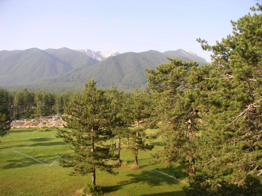 Stylish wooden apartment with terrace in Pirin Golf Hotel&Spa Complex