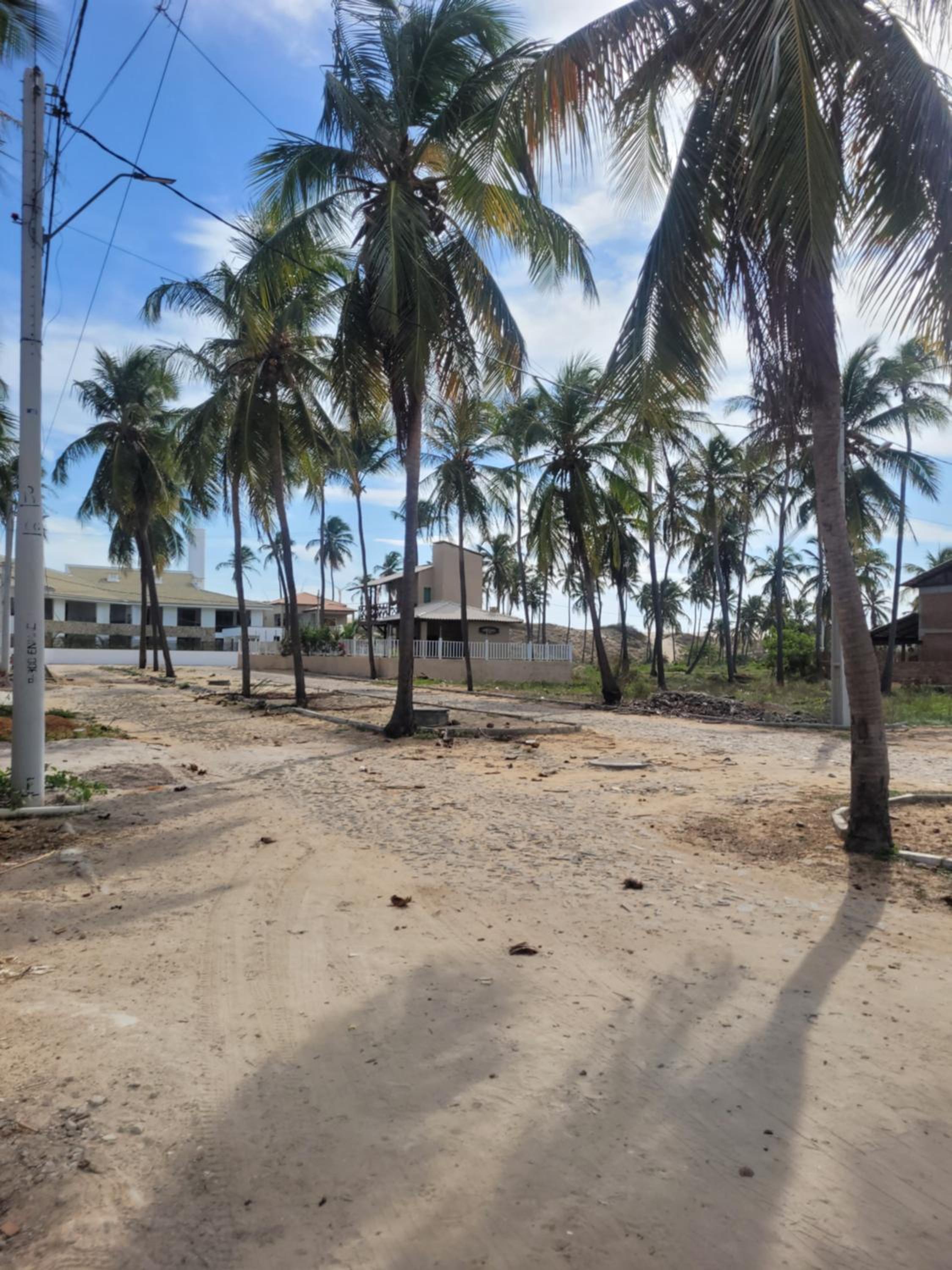 FLECHEIRAS ATLANTICO
