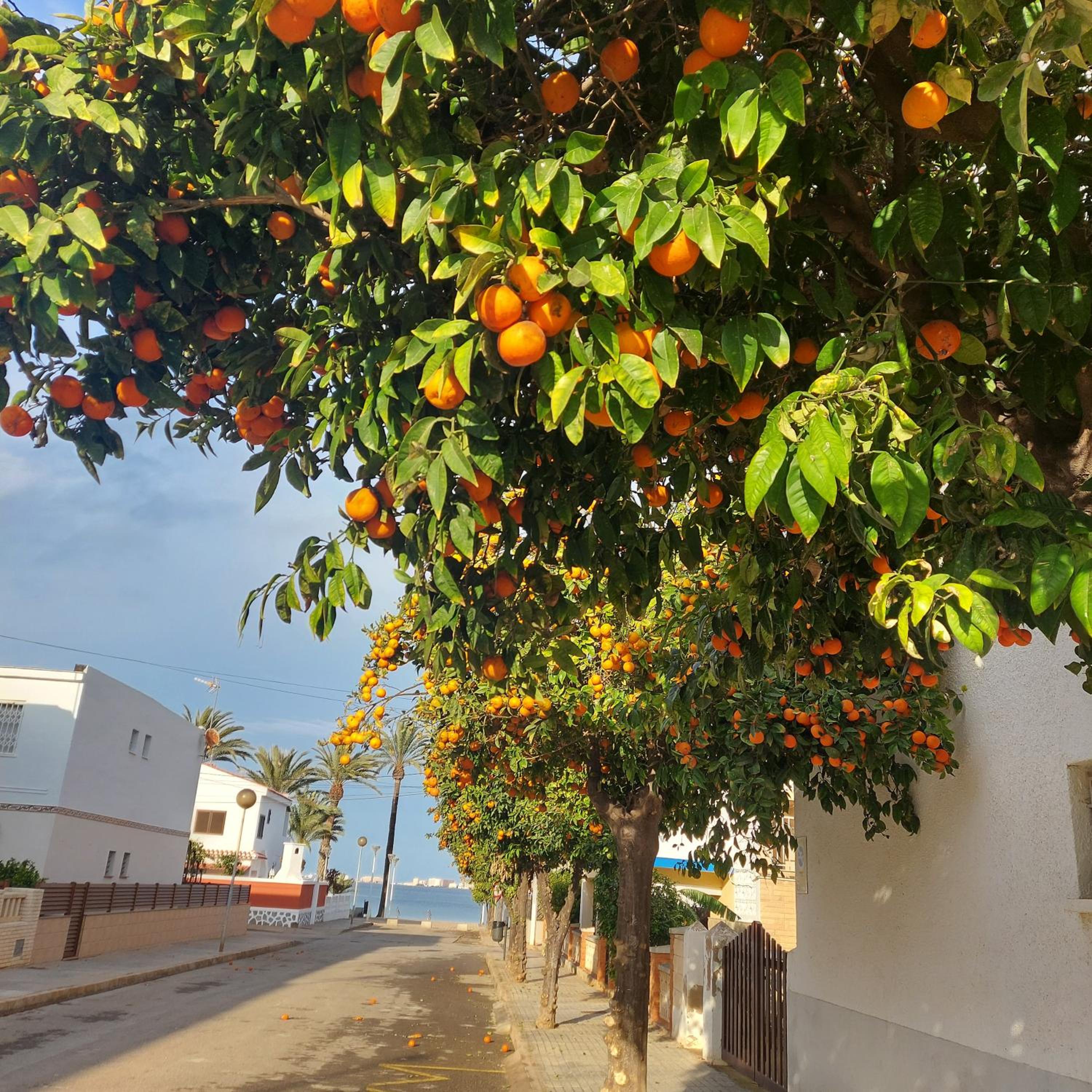 Apartamentos Boutique Mar De Cristal