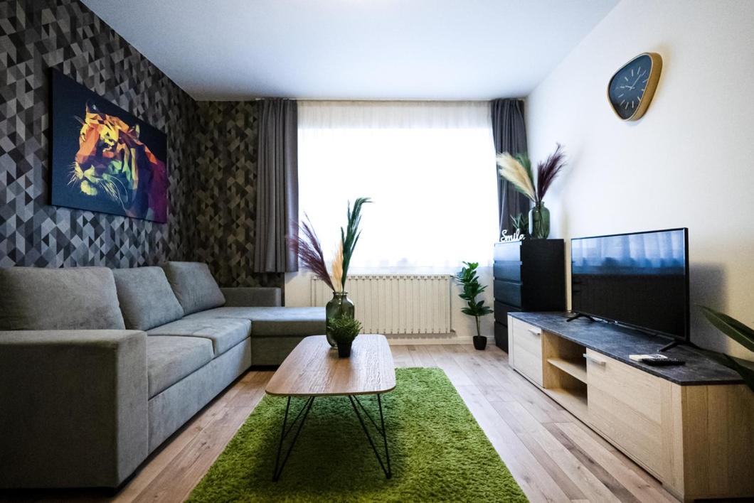 Happy Tiger Premium Central Apartment