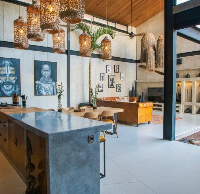 Amazing newly constructed industrial villa