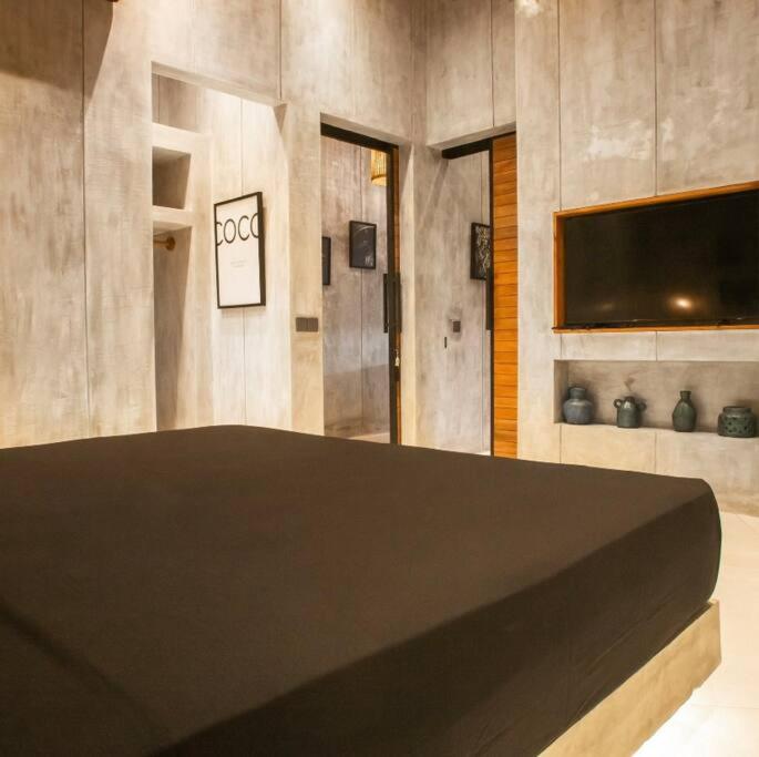 Amazing newly constructed industrial villa