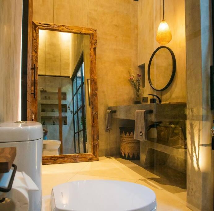 Amazing newly constructed industrial villa