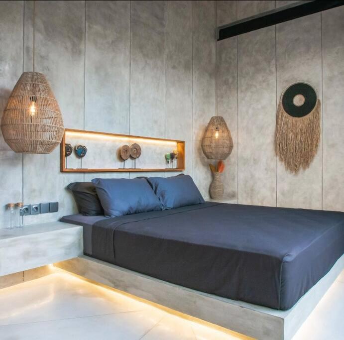 Amazing newly constructed industrial villa