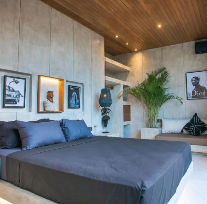 Amazing newly constructed industrial villa