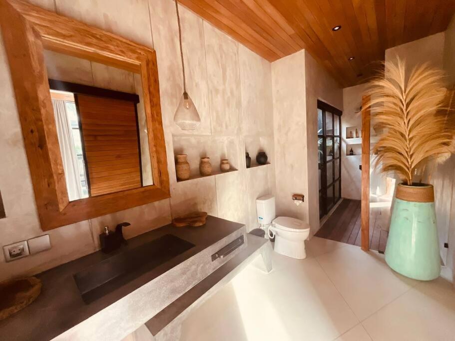 Amazing newly constructed industrial villa