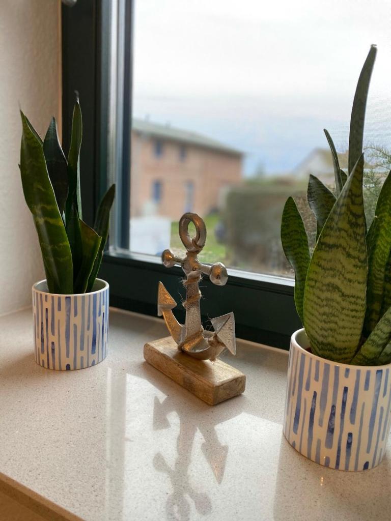 Ferienwohnung Groß Zicker