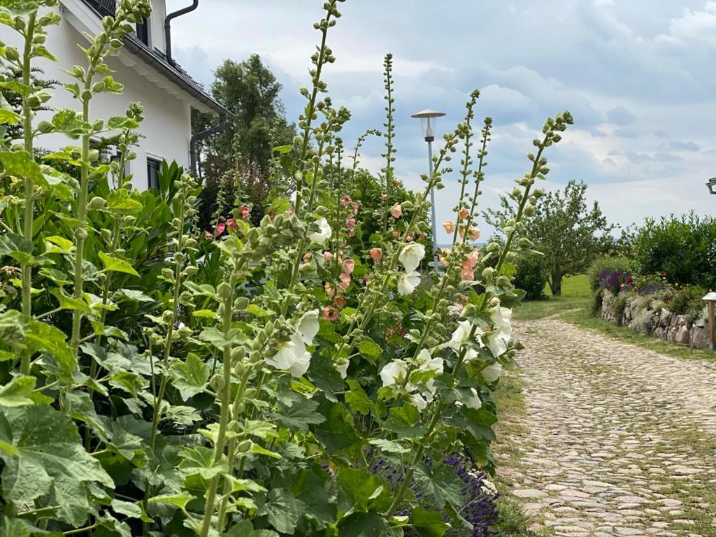 Ferienwohnung Groß Zicker