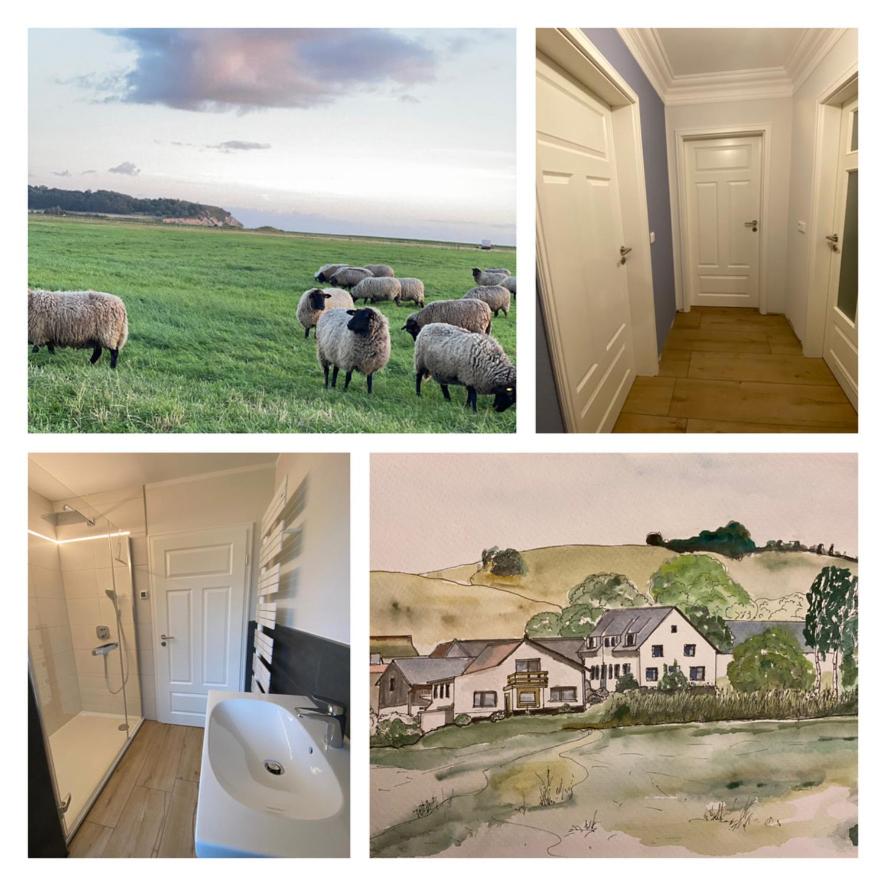 Ferienwohnung Groß Zicker