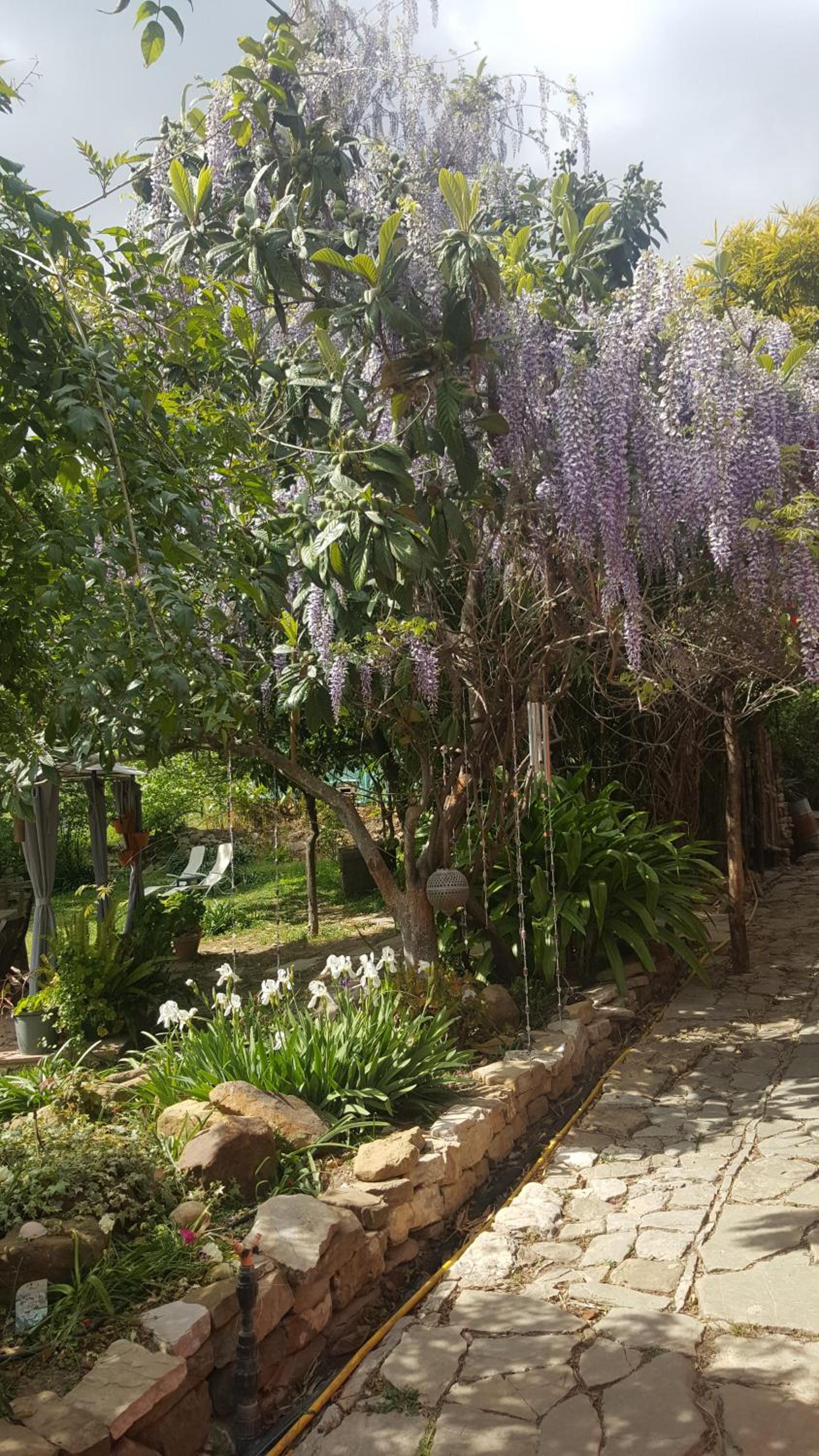 Eco Moyano Posada view 4