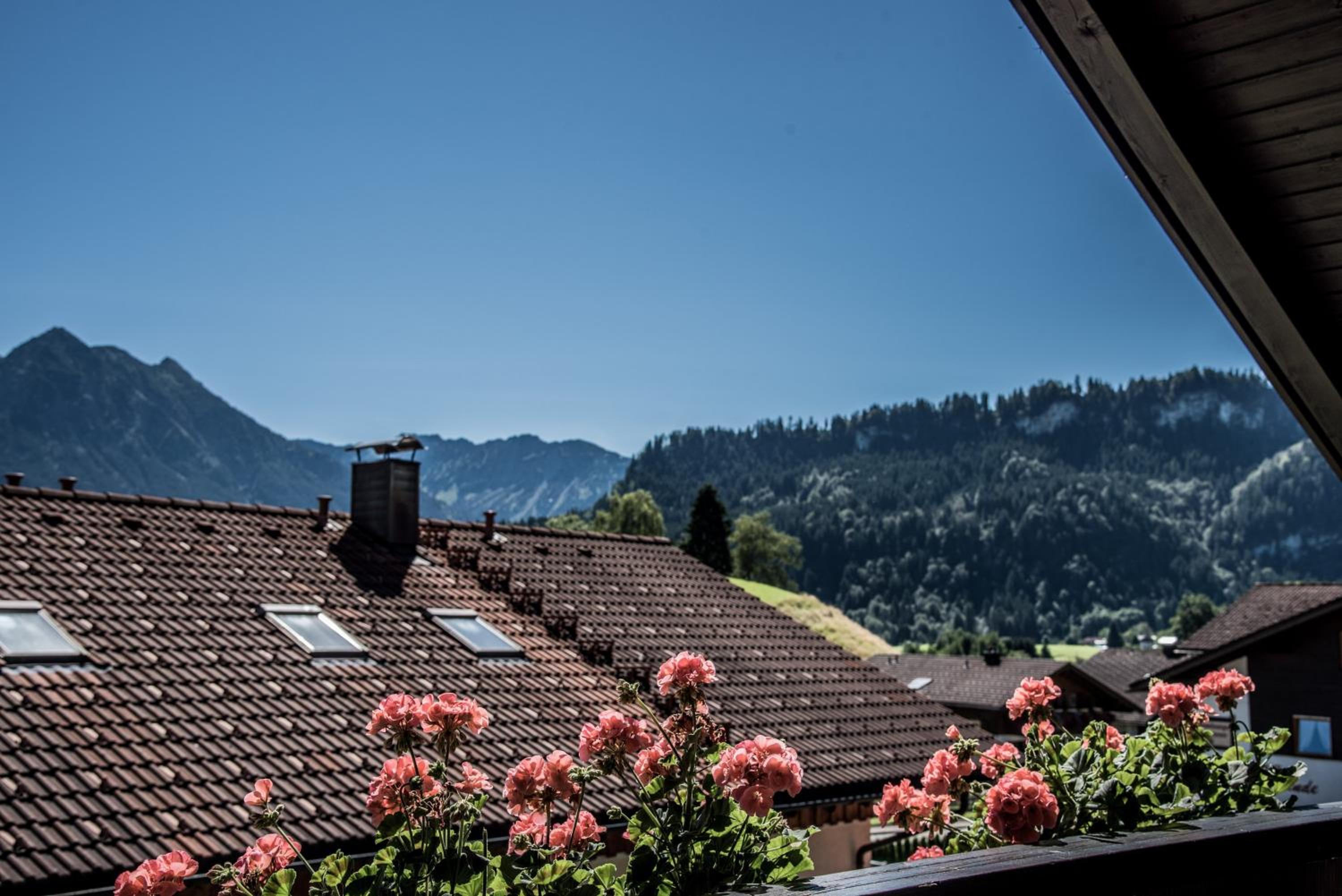 HAUS Susanne - TOP-Ferienwohnungen - SOMMER-Bergbahn inklusive