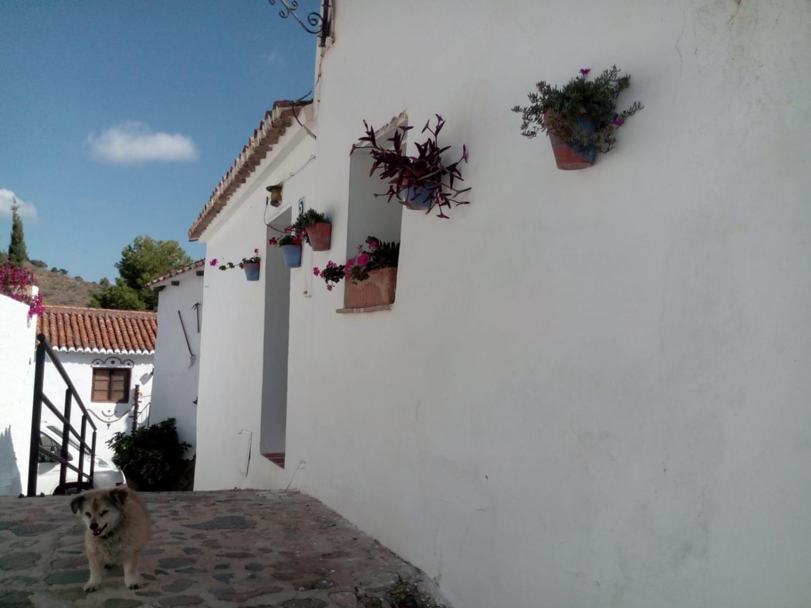 Jardin de Mucho
