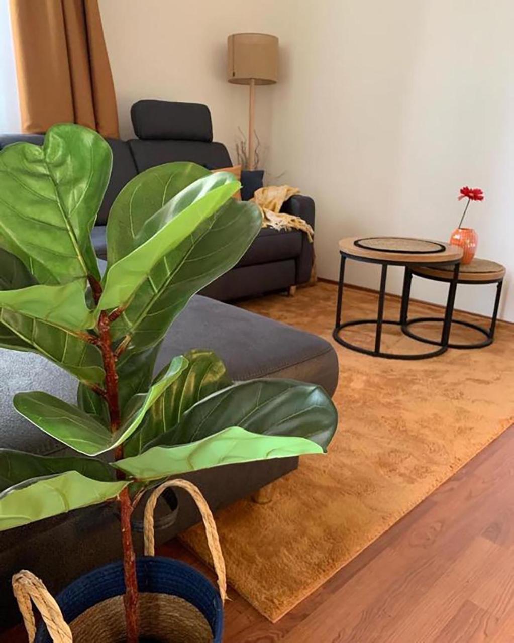 Sóvirág Apartman