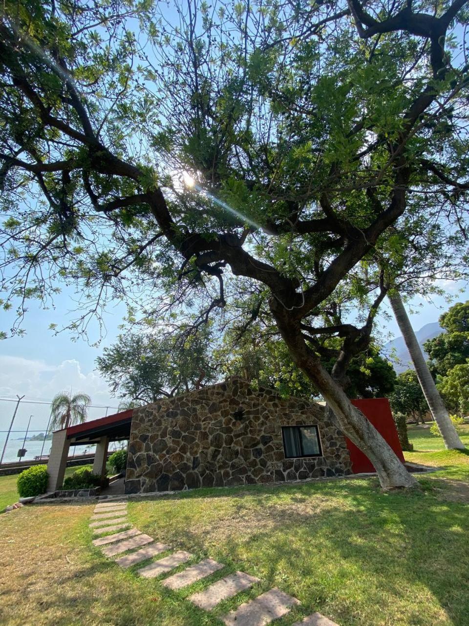 Photo 16