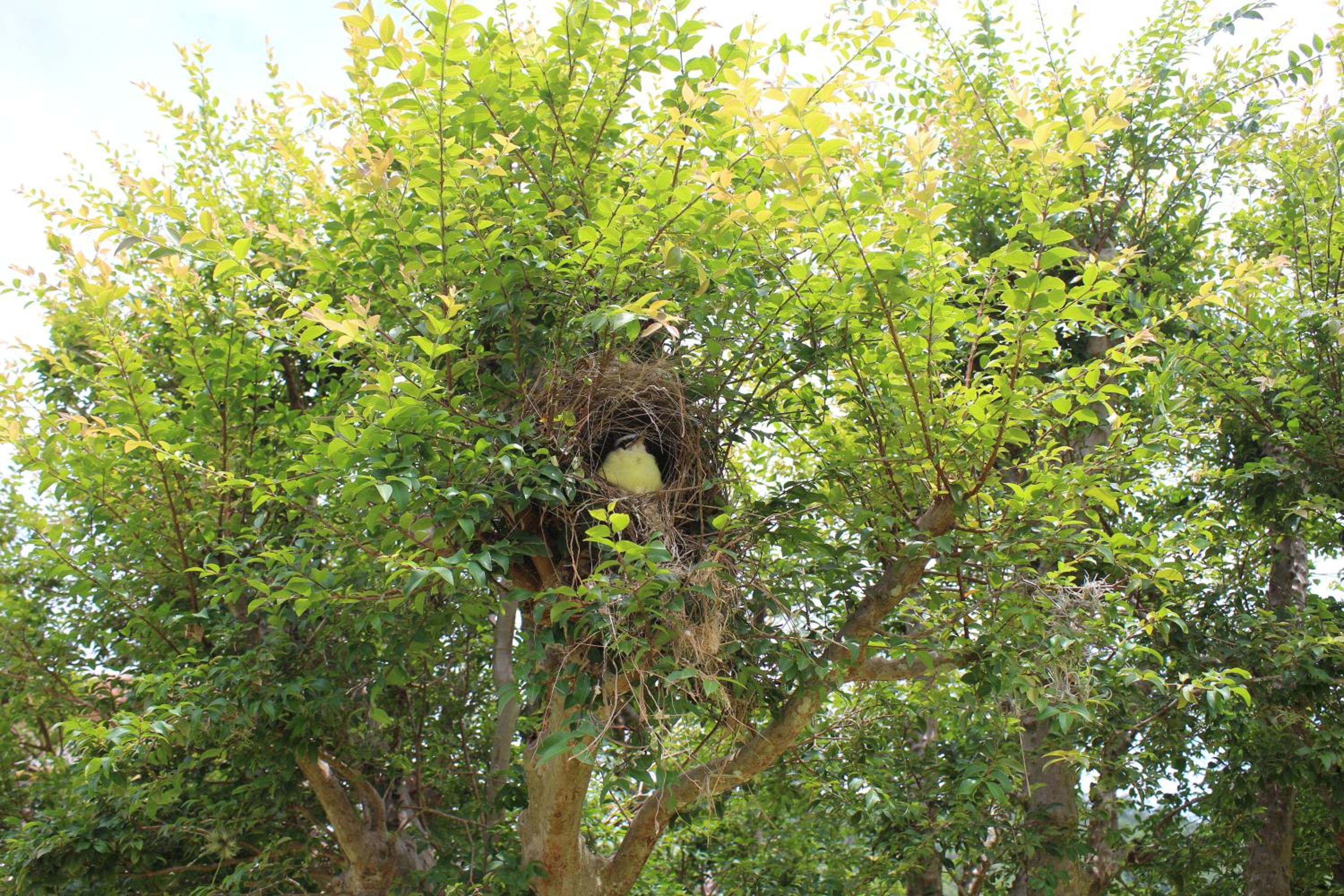 Sítio Vento Verde