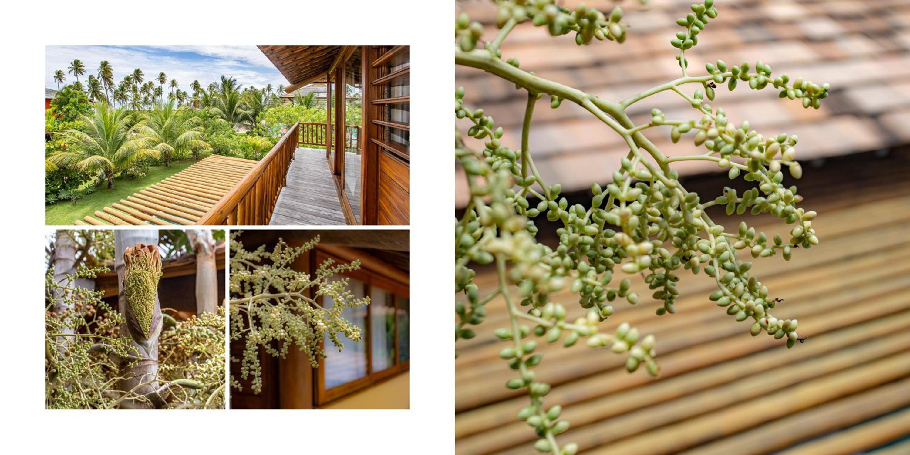 Luxury & Design in Praia do Forte