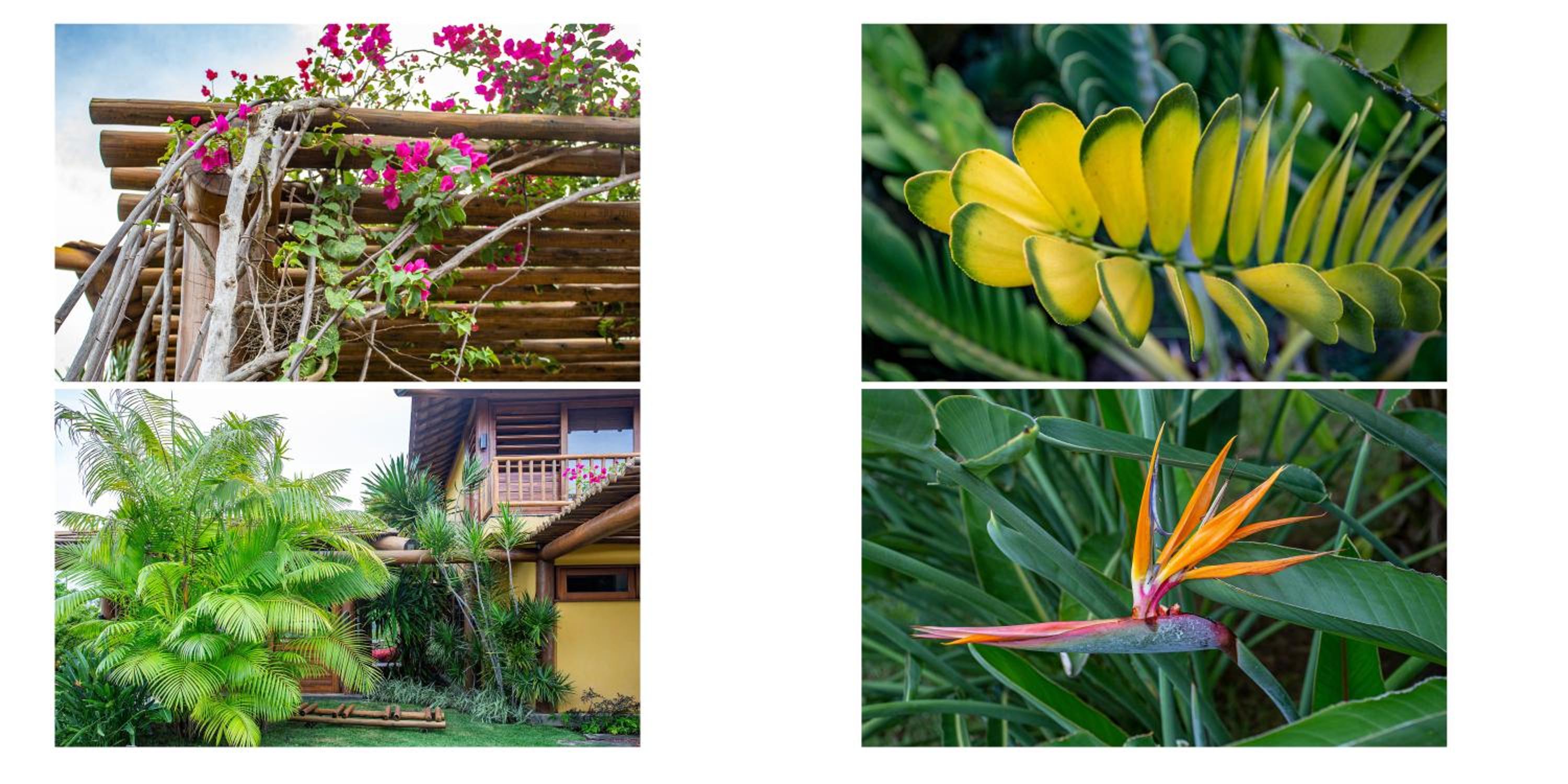 Luxury & Design in Praia do Forte