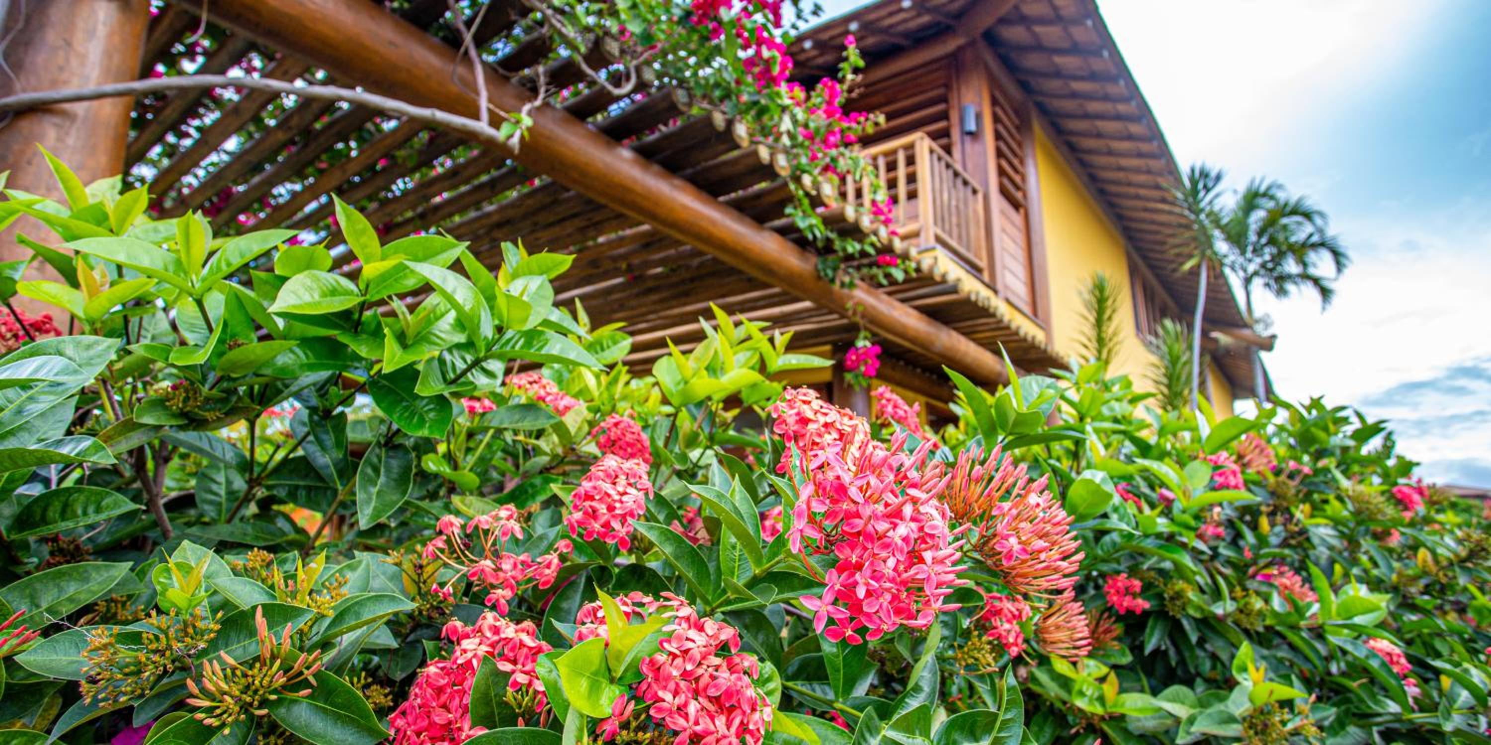 Luxury & Design in Praia do Forte