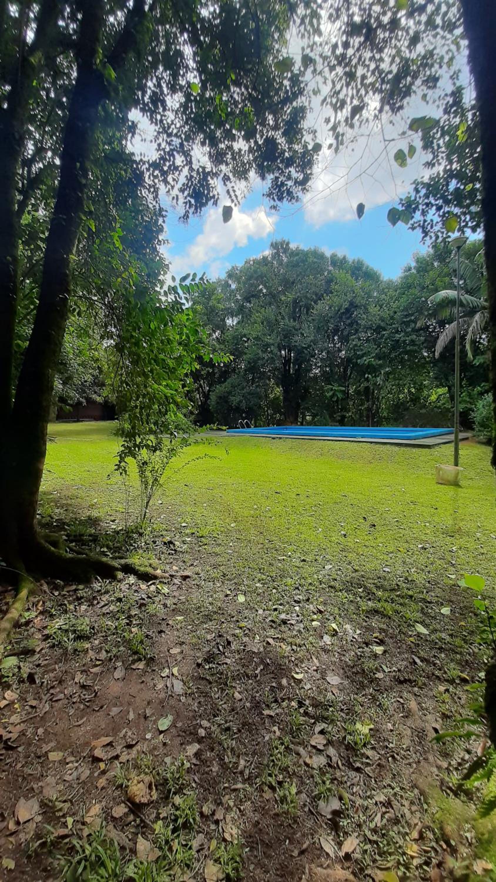 La Manquel - Casa y Yungas