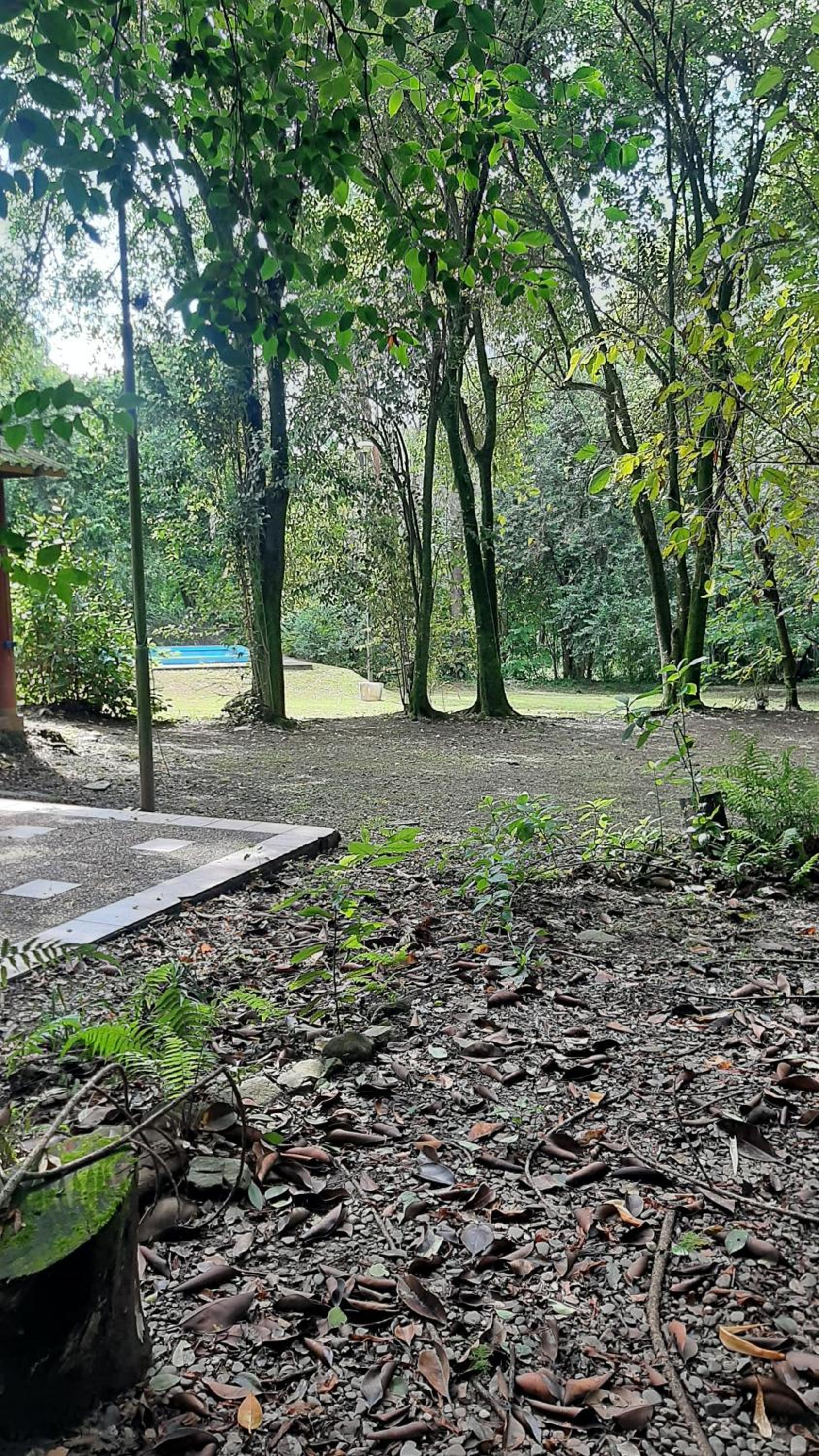 La Manquel - Casa y Yungas