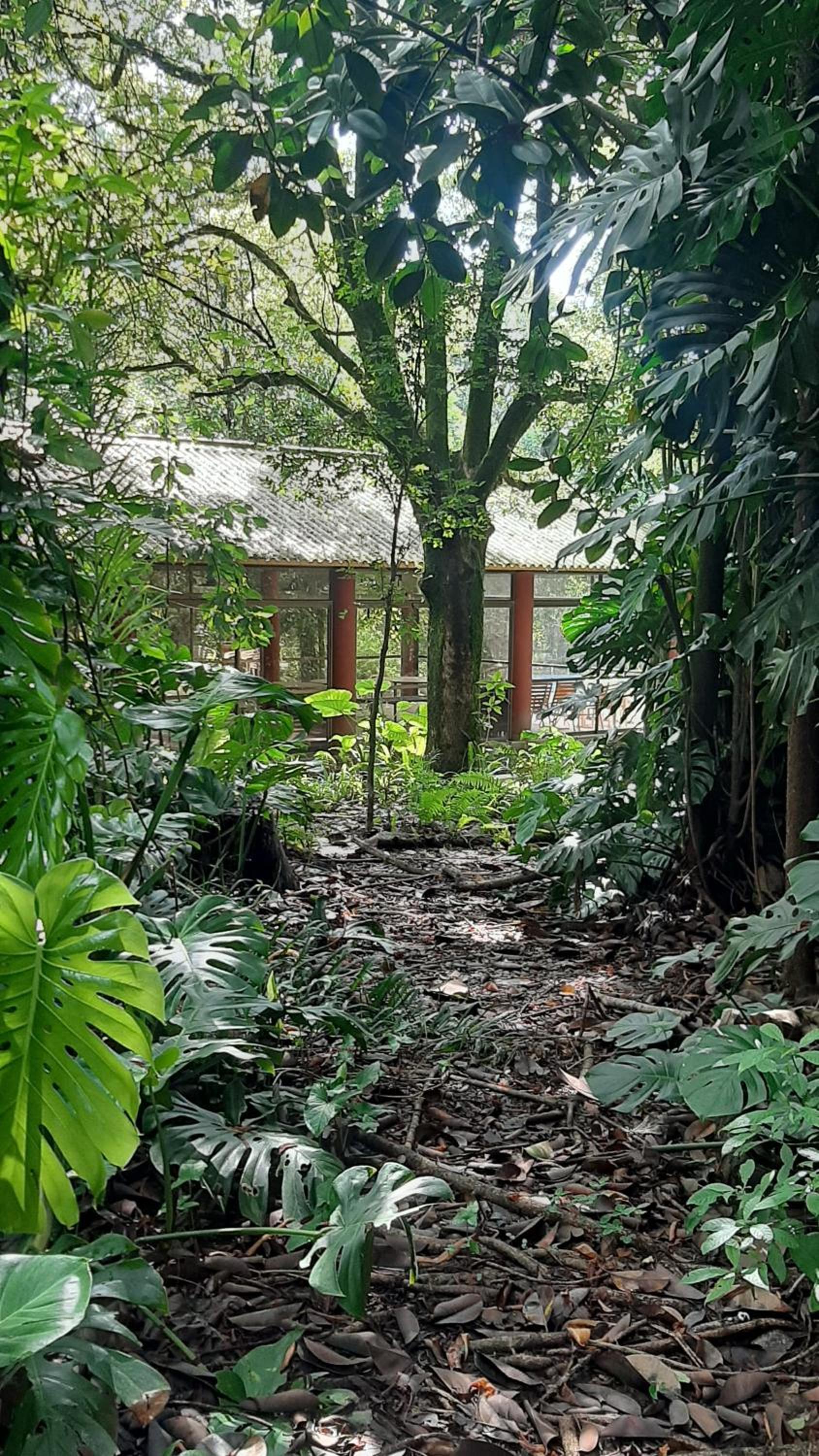 La Manquel - Casa y Yungas