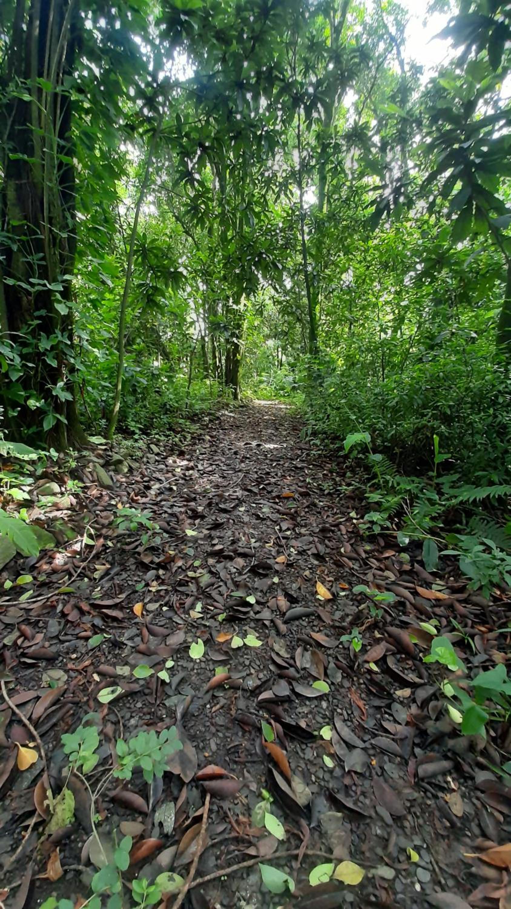 La Manquel - Casa y Yungas