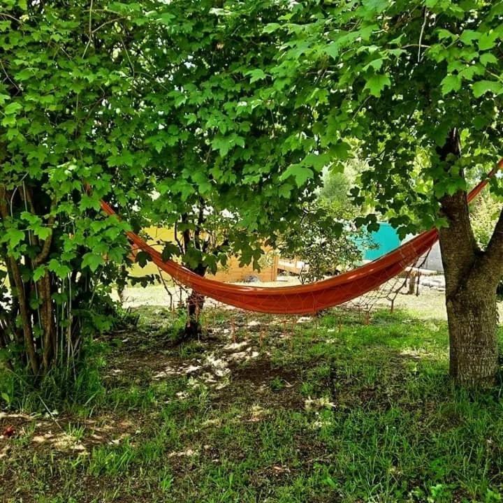 HOSTEL EL LIMON