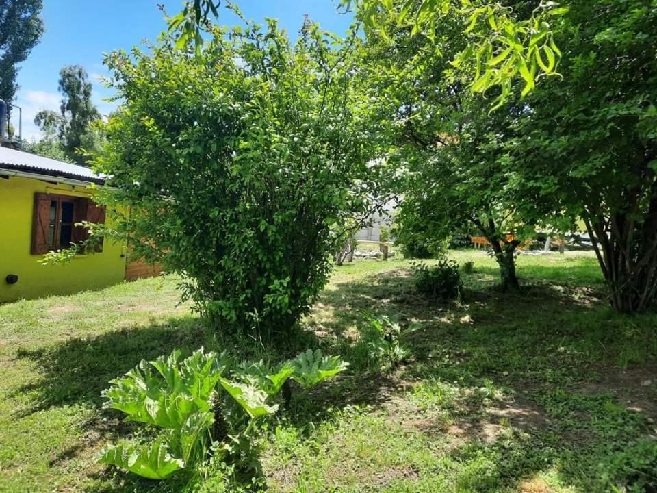 HOSTEL EL LIMON