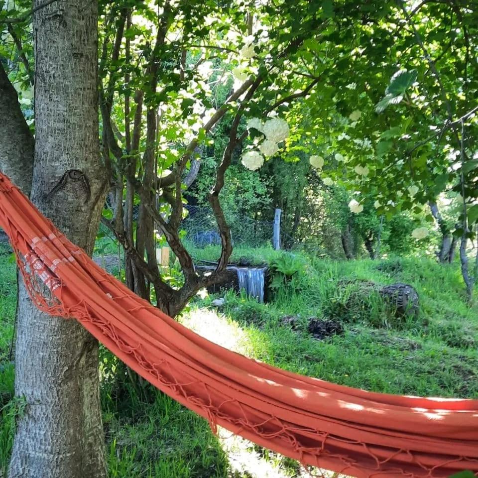 HOSTEL EL LIMON