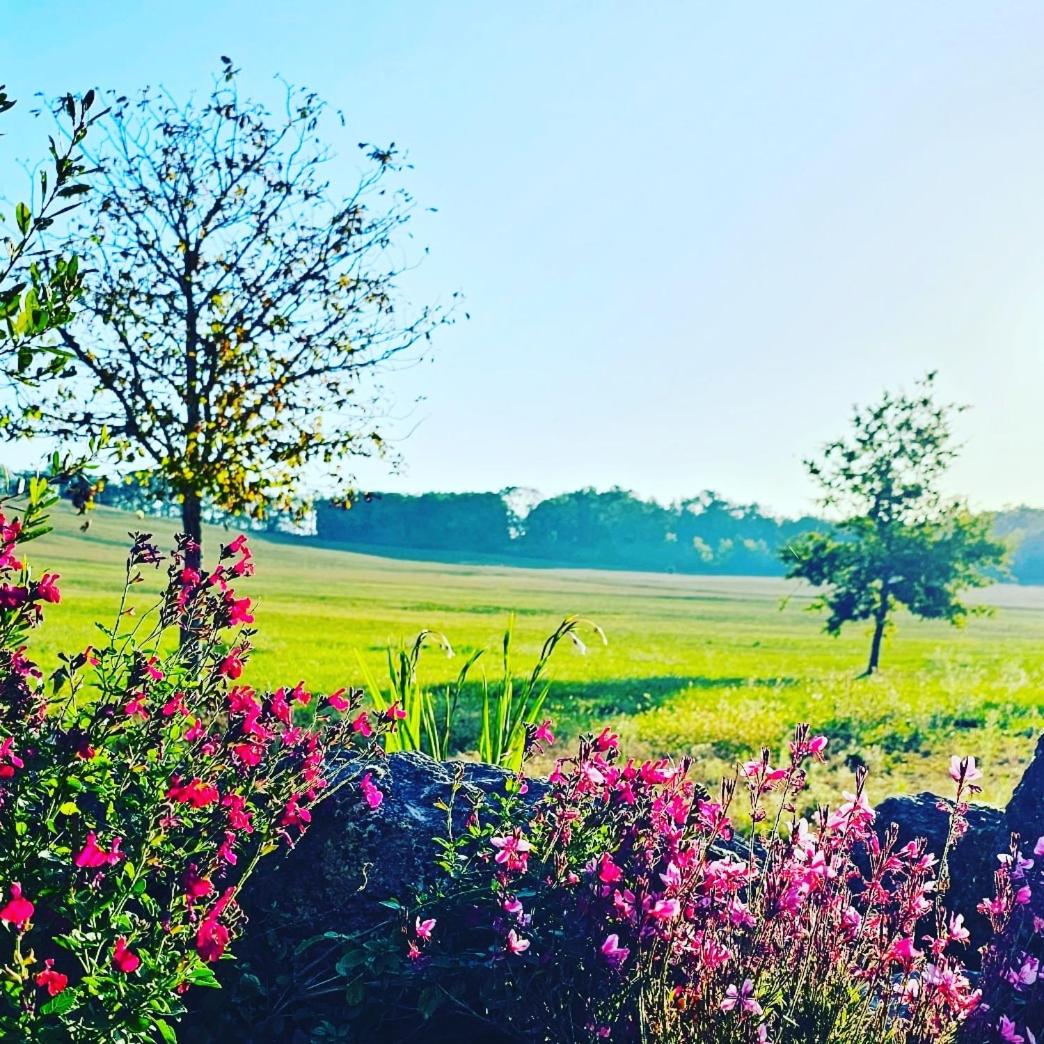 Domaine Au Marchay