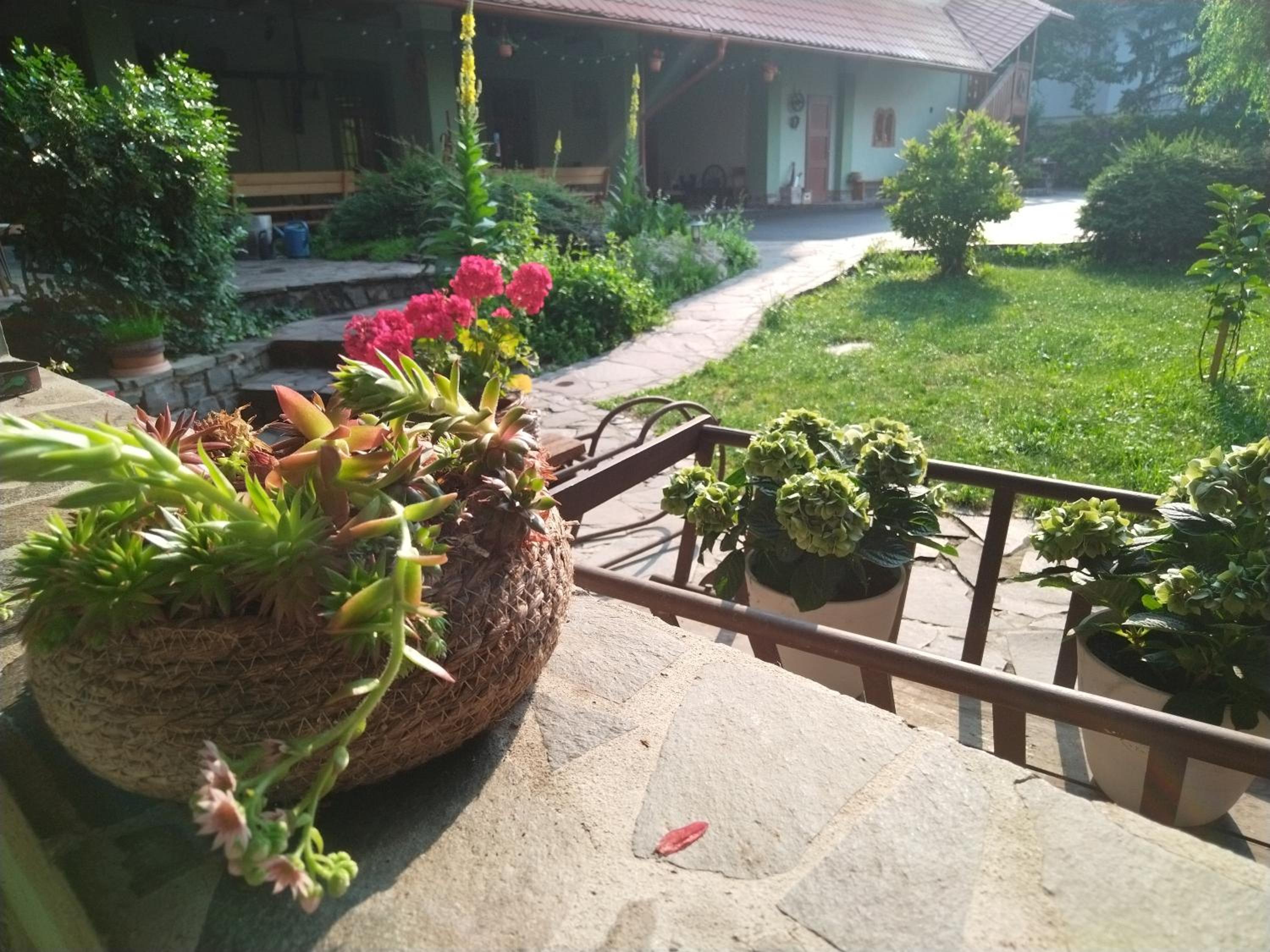 Pivnica a Penzion pri studni view 2