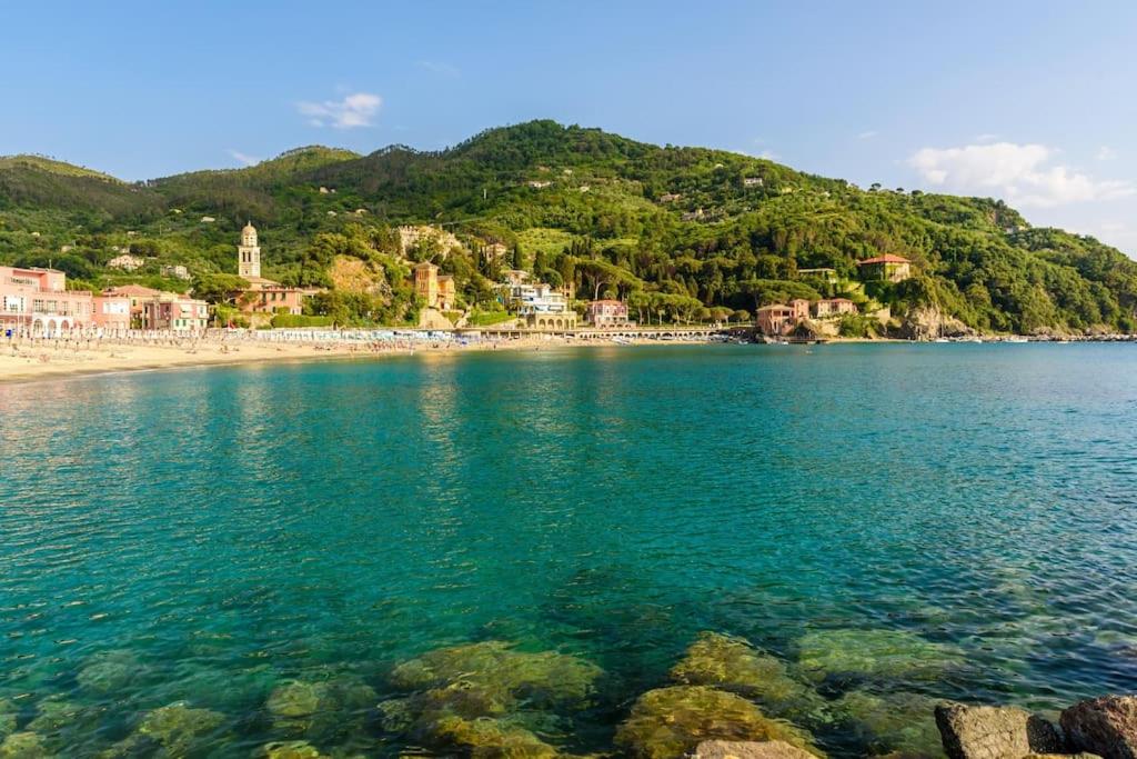 Cà Moltedi