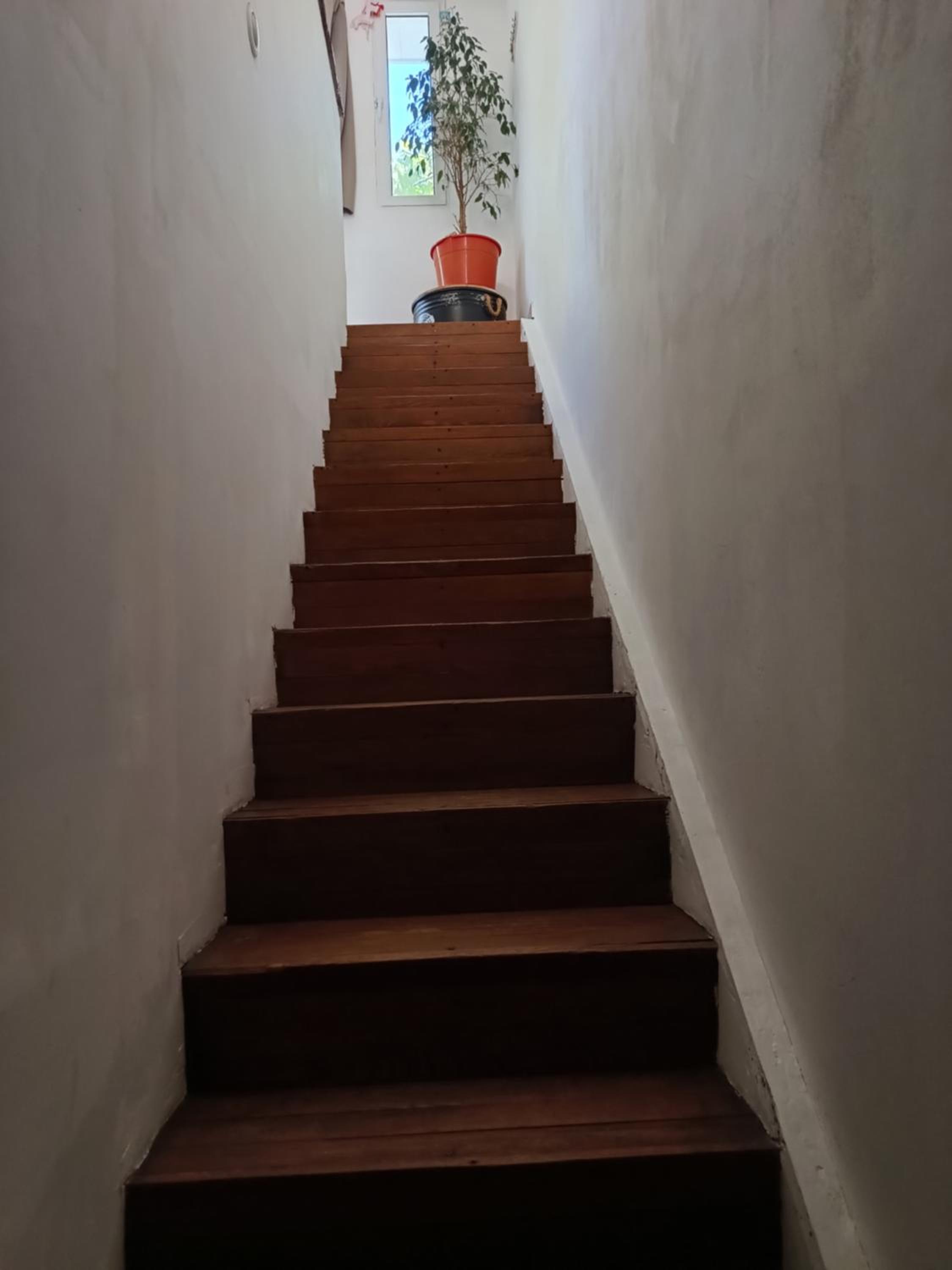 La vero