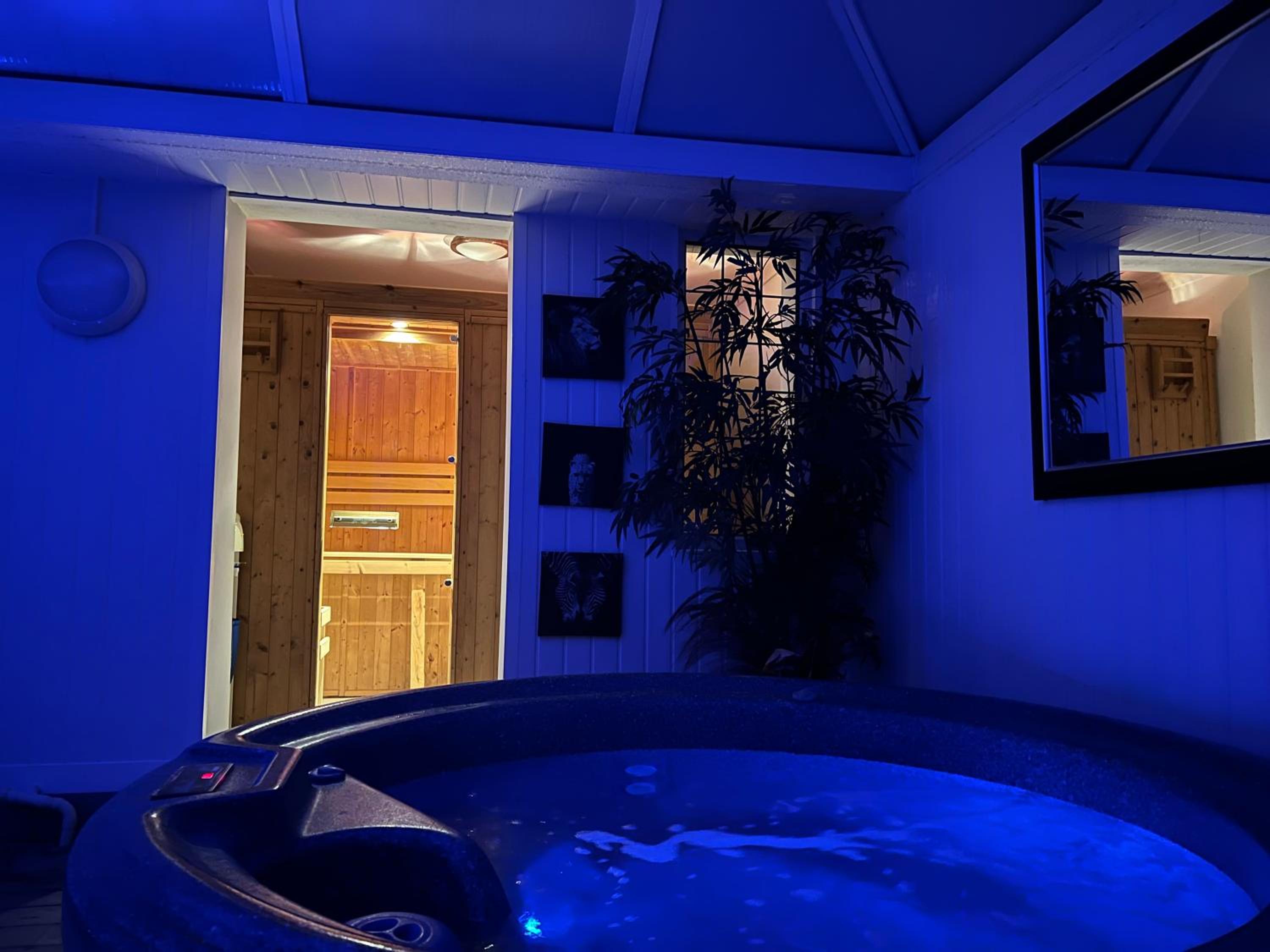 Broadway Pool House with Sauna & Jacuzzi view 3