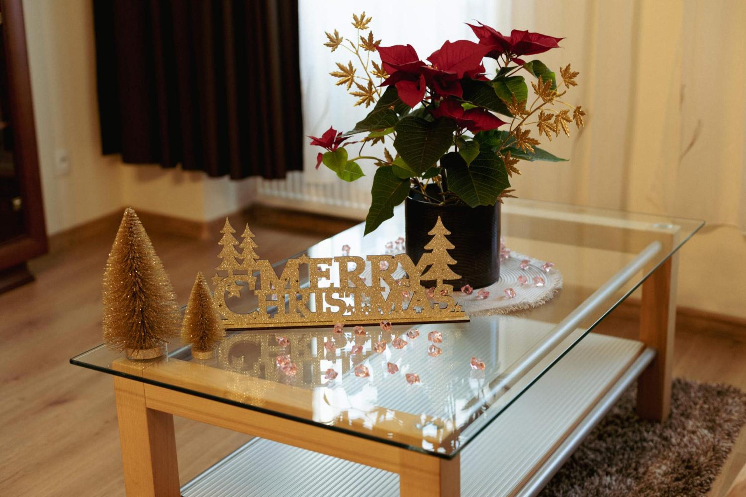 Apartmany u tri jehnatek