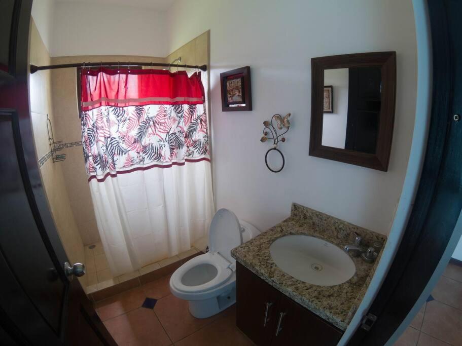 Casa Coconut