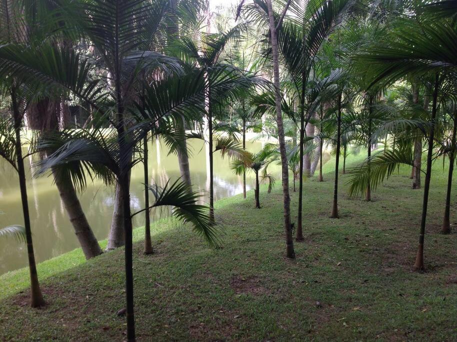 Linda chácara em Ibiuna com lago e piscina