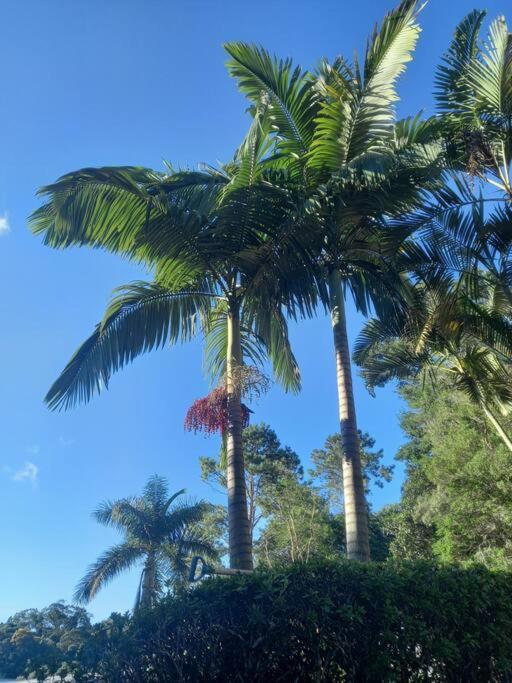 Linda chácara em Ibiuna com lago e piscina