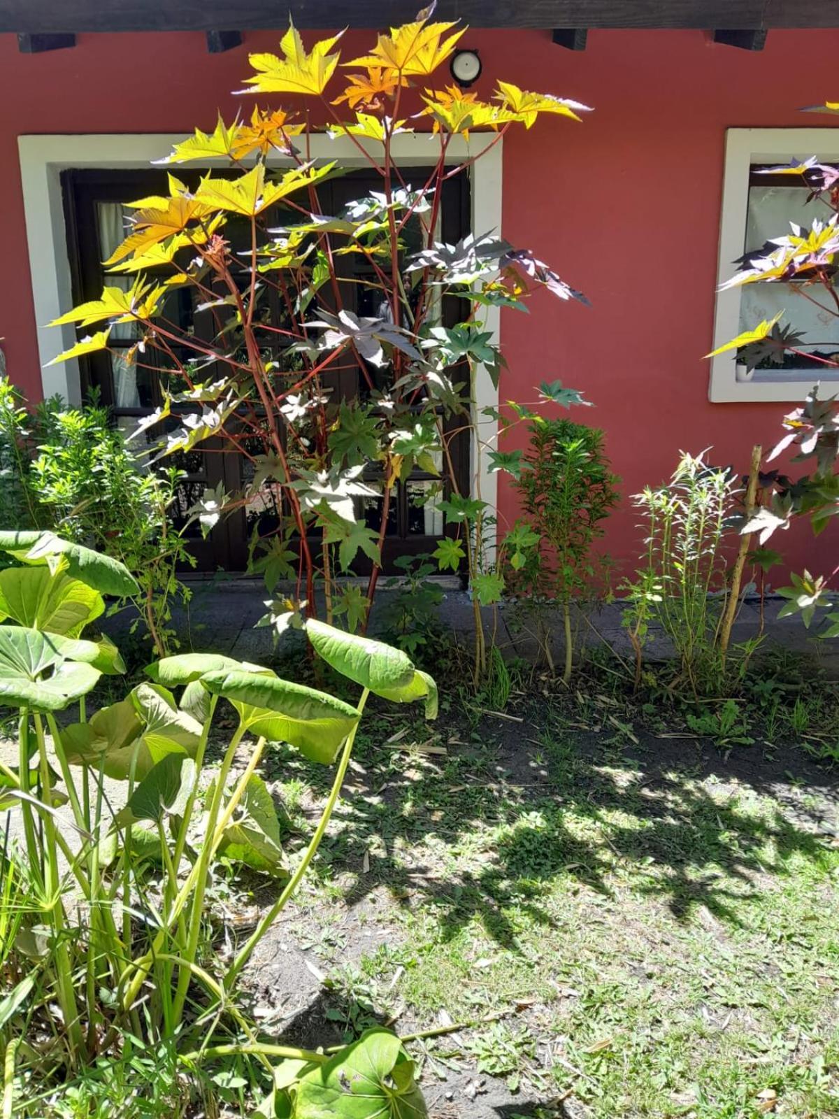 LA CALANDRIA