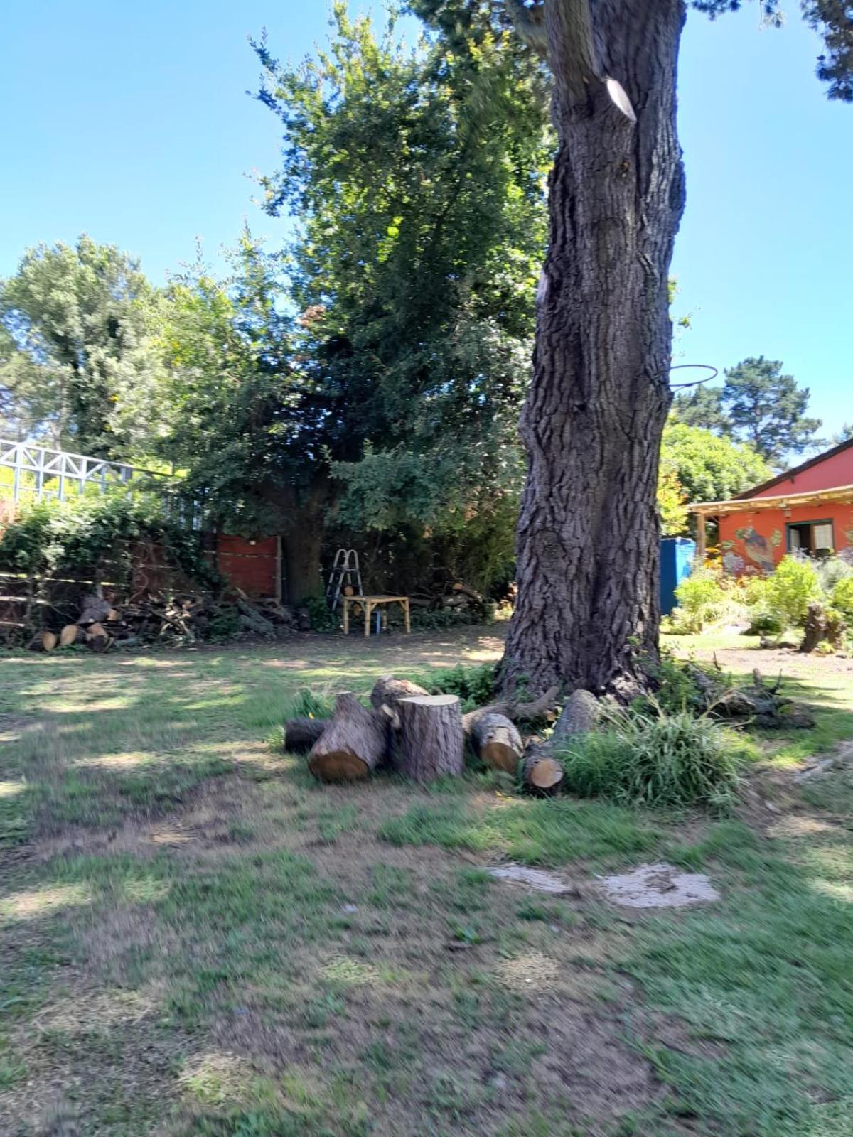 LA CALANDRIA