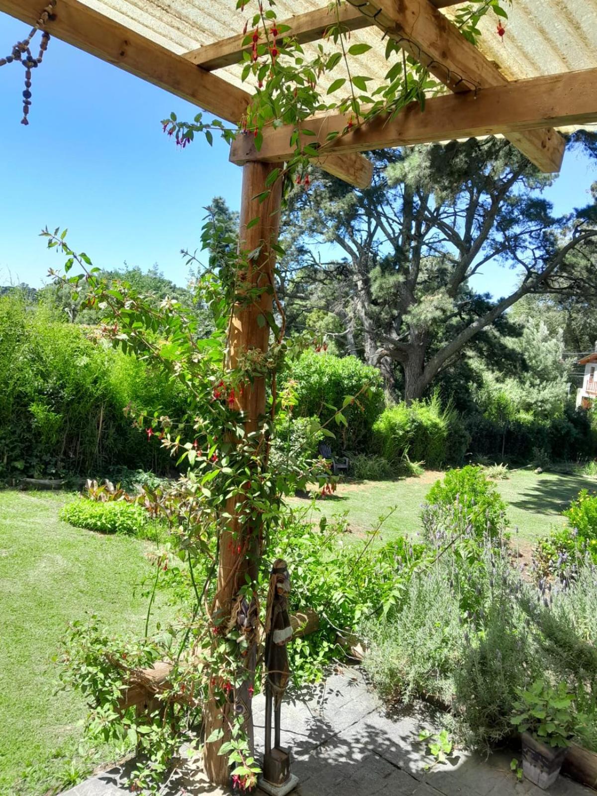 LA CALANDRIA
