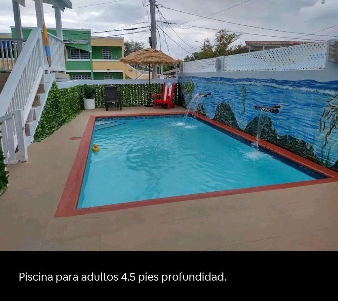 Photo 42
