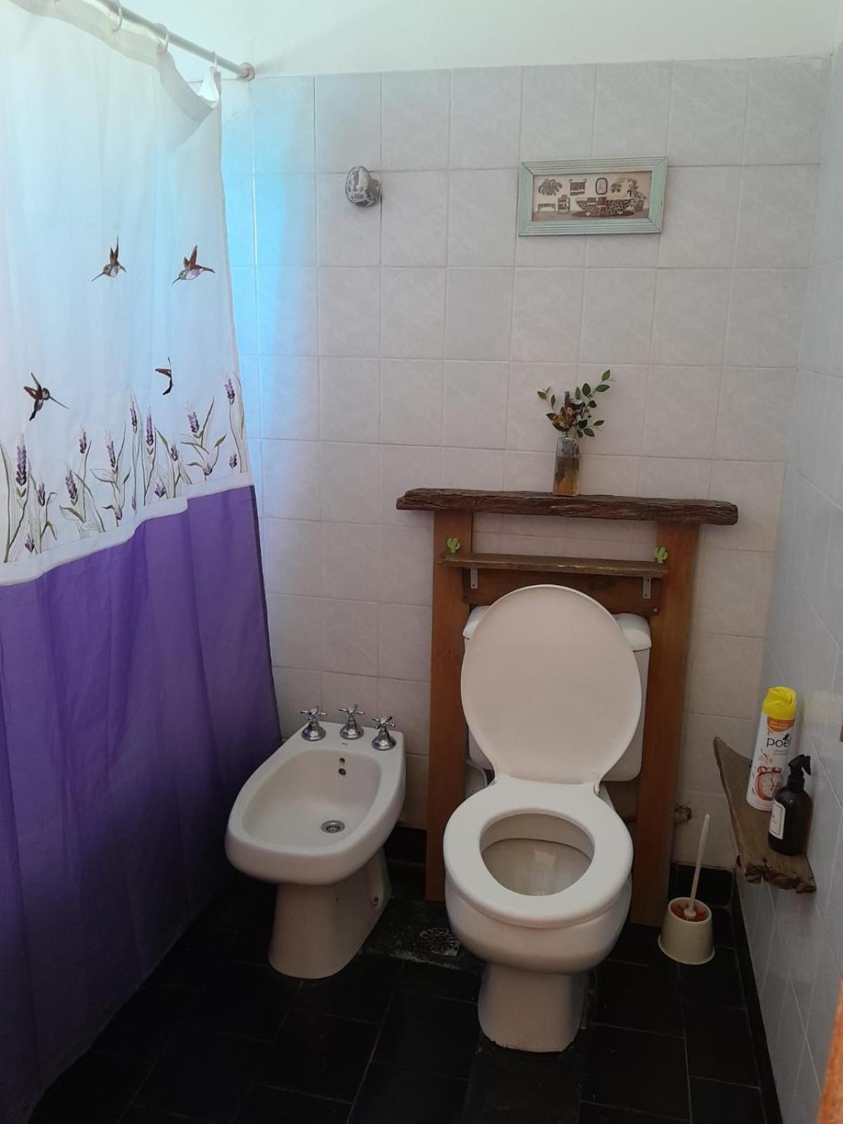LA CALANDRIA