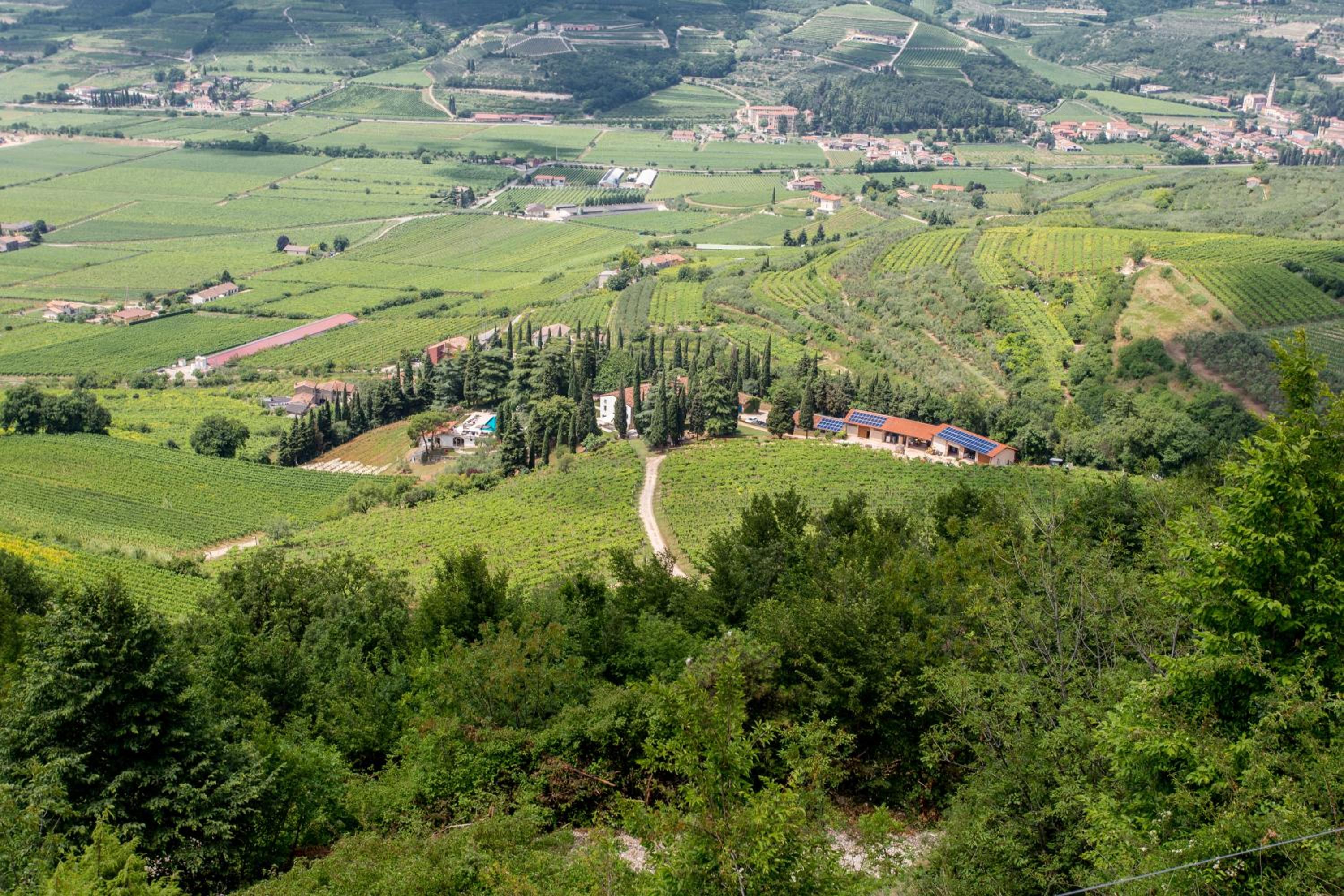Massimago Wine Relais