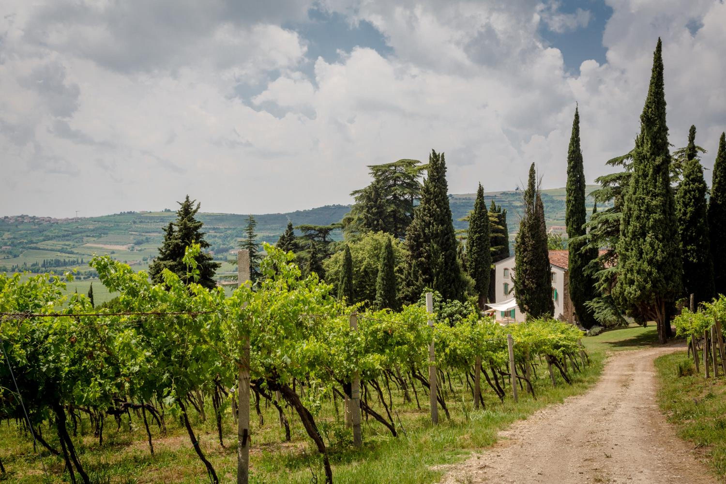 Massimago Wine Relais