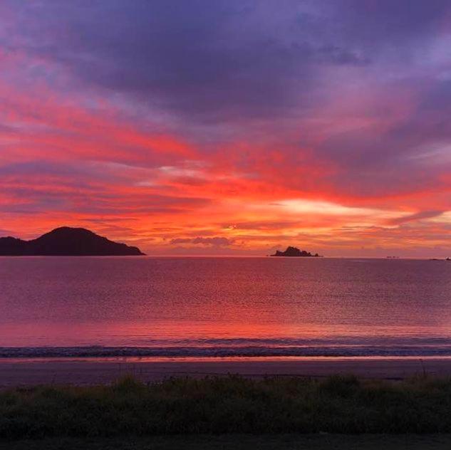 Oakura Bay Absolute Beachfront Holiday Home view 3