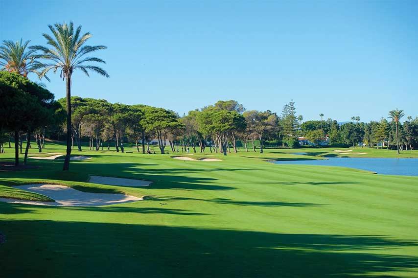 Palm Serenity - Sotogrande