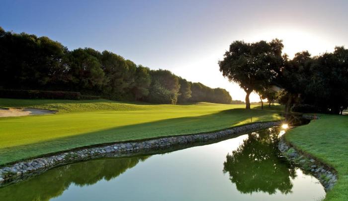 Palm Serenity - Sotogrande