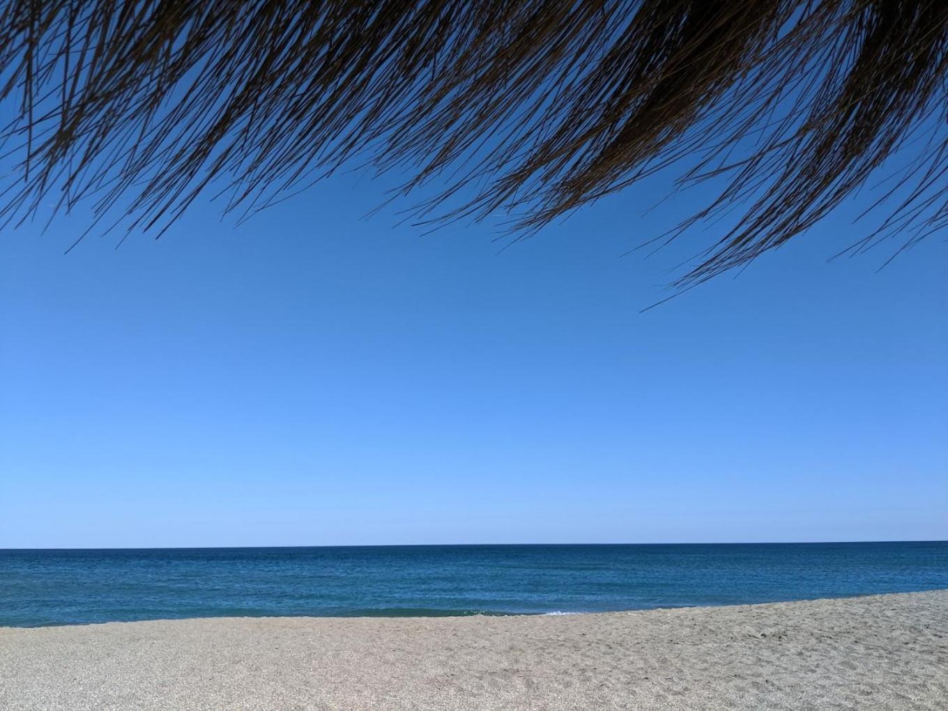 Palm Serenity - Sotogrande