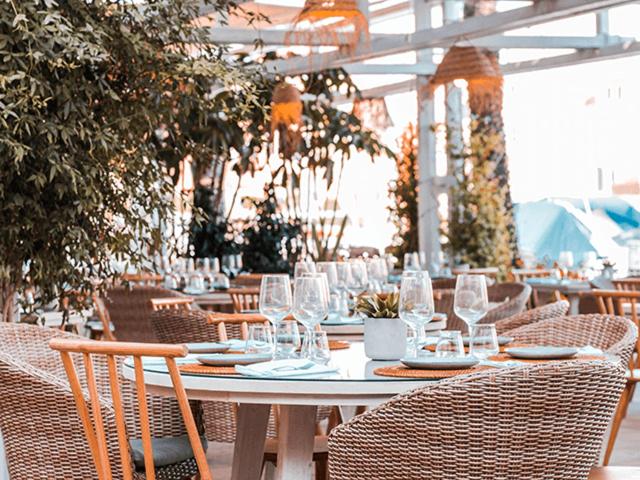 Palm Serenity - Sotogrande